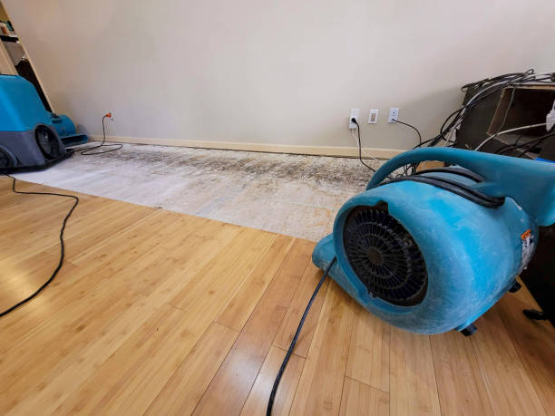 Reliable Basement Flood Cleanup contractor in Romayor, TX by Hirex Water Damage