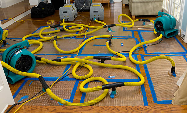 Professional Basement Flood Cleanup technician working in Romayor, TX